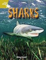 Rigby Star Independent Year 2 Gold Non Fiction Sharks Single