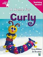 Rigby Star Guided Reading Pink Level: A Home for Curly Teaching Version
