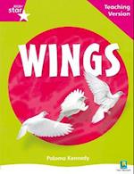 Rigby Star Non-fiction Guided Reading Pink Level: Wings Teaching Version