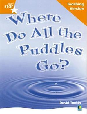 Rigby Star Non-fiction Guided Reading Orange Level: Where do all the puddles go? Teaching