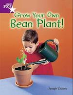 Rigby Star Guided Quest Purple: Grow Your Own Bean Plant!