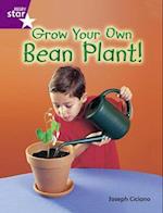 Rigby Star Guid Year 2 Purple Level: Grow Your Own Bean Plant Guided Reading Pk Framework