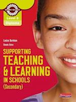 Level 3 Diploma Supporting teaching and learning in schools, Secondary, Candidate Handbook