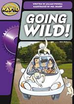 Rapid Phonics Step 3.1: Going Wild (Non-fiction)