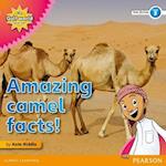 My Gulf World and Me Level 3 non-fiction reader: Amazing camel facts!