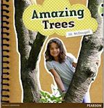 Bug Club Guided Non Fiction Year 1 Green A Amazing Trees