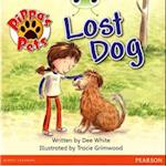 Bug Club Yellow A Pippa's Pets: Lost Dog 6-pack