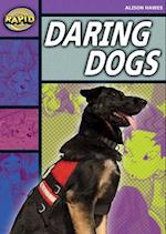 Rapid Stage 1 Set B: Daring Dogs(Series 1)