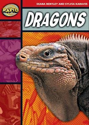 Rapid Reading: Dragons (Stage 2, Level 2B)