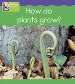 PYP L4 How Plants Grow 6PK