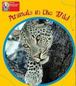 Primary Years Programme Level 1 Animals in the Wild 6Pack