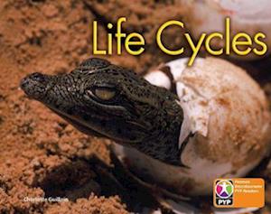 PYP L6 Life Cycles single