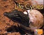 PYP L6 Life Cycles single