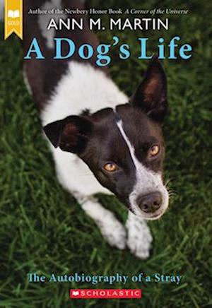 A Dog's Life: The Autobiography of a Stray (Scholastic Gold)