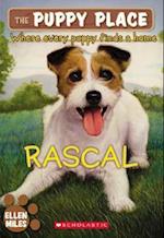Rascal (the Puppy Place #4)