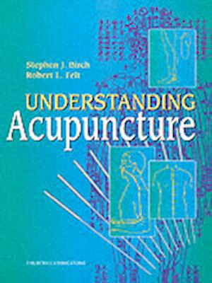 Understanding Acupuncture