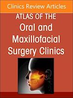 Botox and Fillers, An Issue of Atlas of the Oral & Maxillofacial Surgery Clinics