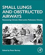 Lung Size, Function and Health