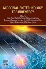 Microbial Biotechnology for Bioenergy
