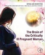 The Brain of the Critically Ill Pregnant Woman