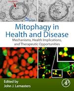 Mitophagy in Health and Disease