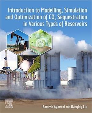 Introduction to Modelling, Simulation and Optimization of Co2 Sequestration in Various Types of Reservoirs
