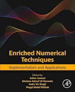 Enriched Numerical Techniques