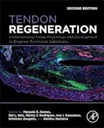 Tendon Regeneration