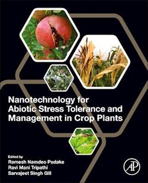 Nanotechnology for Abiotic Stress Tolerance and Management in Crop Plants