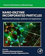 Nano-Enzyme Incorporated Particles