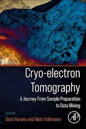 Cryo-Electron Tomography