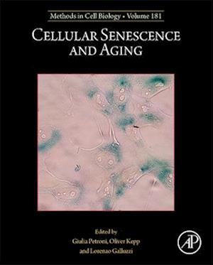 Cellular Senescence and Aging