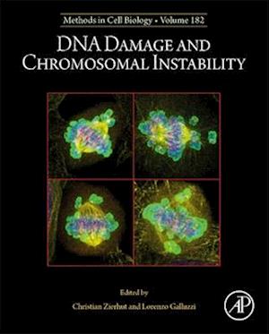 DNA Damage and Chromosomal Instability