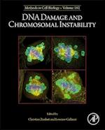 DNA Damage and Chromosomal Instability