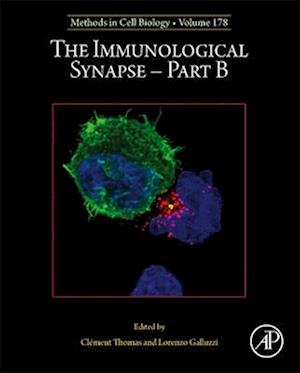 The Immunological Synapse Part B