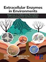 Extracellular Enzymes in Environments