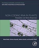 Non-coding RNA in Plants