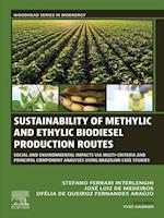 Sustainability of Methylic and Ethylic Biodiesel Production Routes