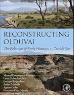 Reconstructing Olduvai