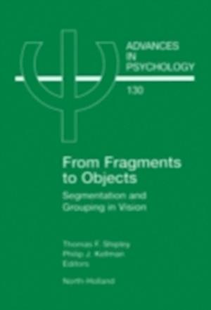 From Fragments to Objects