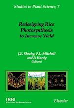 Redesigning Rice Photosynthesis to Increase Yield