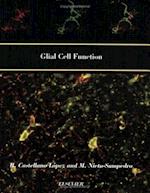 Glial Cell Function (Paperback)