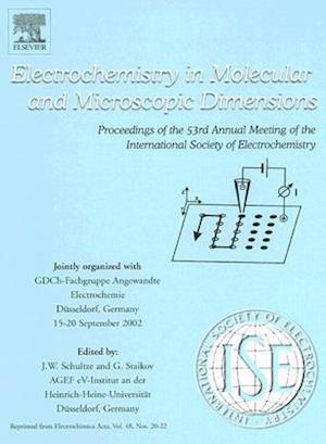 Electrochemistry in Molecular and Microscopic Dimensions