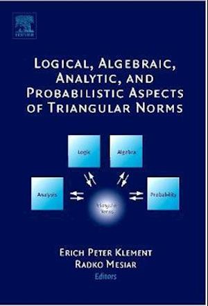 Logical, Algebraic, Analytic and Probabilistic Aspects of Triangular Norms