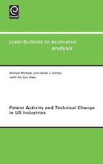 Patent Activity and Technical Change in US Industries