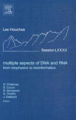 Multiple Aspects of DNA and RNA: from Biophysics to Bioinformatics
