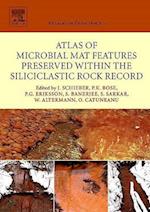 Atlas of Microbial Mat Features Preserved within the Siliciclastic Rock Record