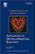 Cardiovascular Development