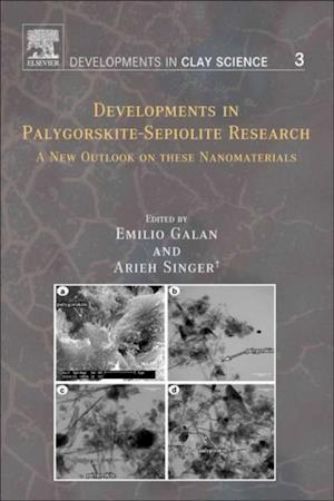 Developments in Palygorskite-Sepiolite Research