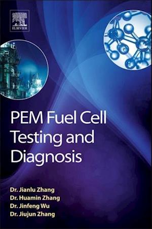 PEM Fuel Cell Testing and Diagnosis